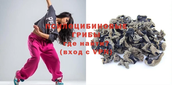 гашик Медногорск
