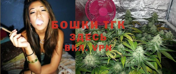 гашик Медногорск
