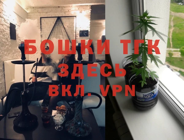 гашик Медногорск