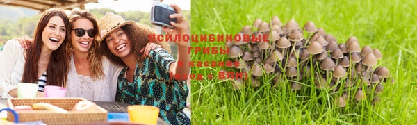 гашик Медногорск