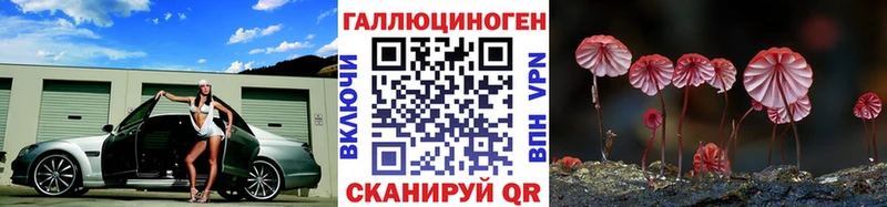 Псилоцибиновые грибы Psilocybe  Купить где  Ульяновск 